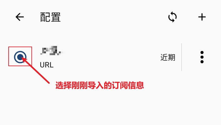 Clash Meta 开启代理